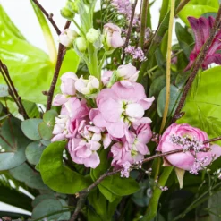 Boeket Anthurium Groot 8 Boeket Anthurium Groot -Groeniva Verkoopwinkel boeket anthurium boeketten 3