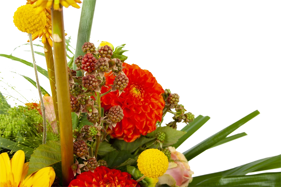 Boeket Beatrix Groot 3 Boeket Beatrix Groot - Afbeelding 3