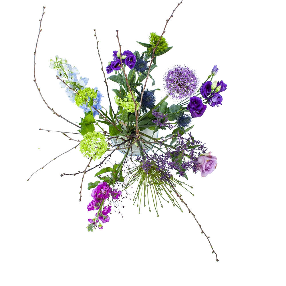 Boeket Biezen Klein 1 Boeket Biezen Klein