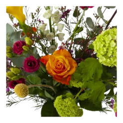 Boeket De Lente Groot -Groeniva Verkoopwinkel boeket de lente boeketten 3 2