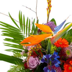 Boeket Deluxe Special Voor Jou Middel -Groeniva Verkoopwinkel boeket deluxe special voor jou boeketten 3