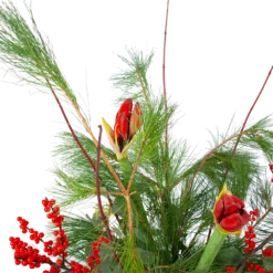 Boeket Deluxe Winter Groot -Groeniva Verkoopwinkel boeket deluxe winter boeketten 3 1 1