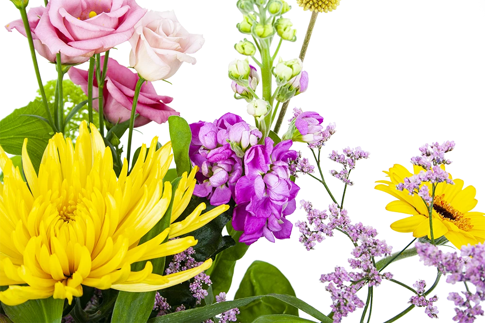 Boeket Eline Klein 3 Boeket Eline Klein - Afbeelding 3