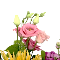 Boeket Eline Klein 9 Boeket Eline Klein -Groeniva Verkoopwinkel boeket eline boeketten 4