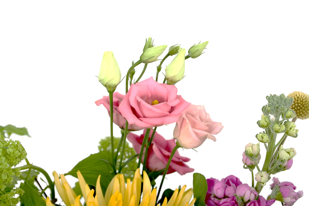 Boeket Eline Klein 4 Boeket Eline Klein - Afbeelding 4