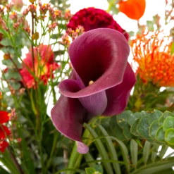 Boeket Herfst Warmte Klein 9 Boeket Herfst Warmte Klein -Groeniva Verkoopwinkel boeket herfst warmte klein boeketten 4