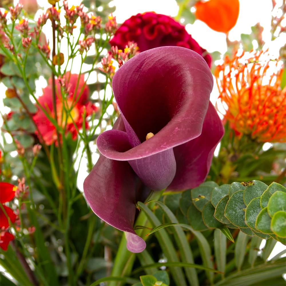 Boeket Herfst Warmte Middel 4 Boeket Herfst Warmte Middel - Afbeelding 4