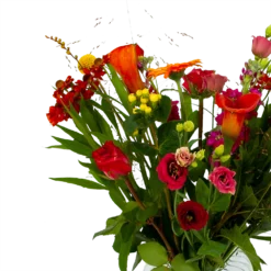 Boeket Hippe Herfst Middel 8 Boeket Hippe Herfst Middel -Groeniva Verkoopwinkel boeket hippe herfst middel boeketten 3 1