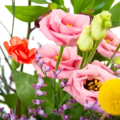 Boeket Kleurrijk Geplukt Groot -Groeniva Verkoopwinkel boeket kleurrijk geplukt boeketten 3 1