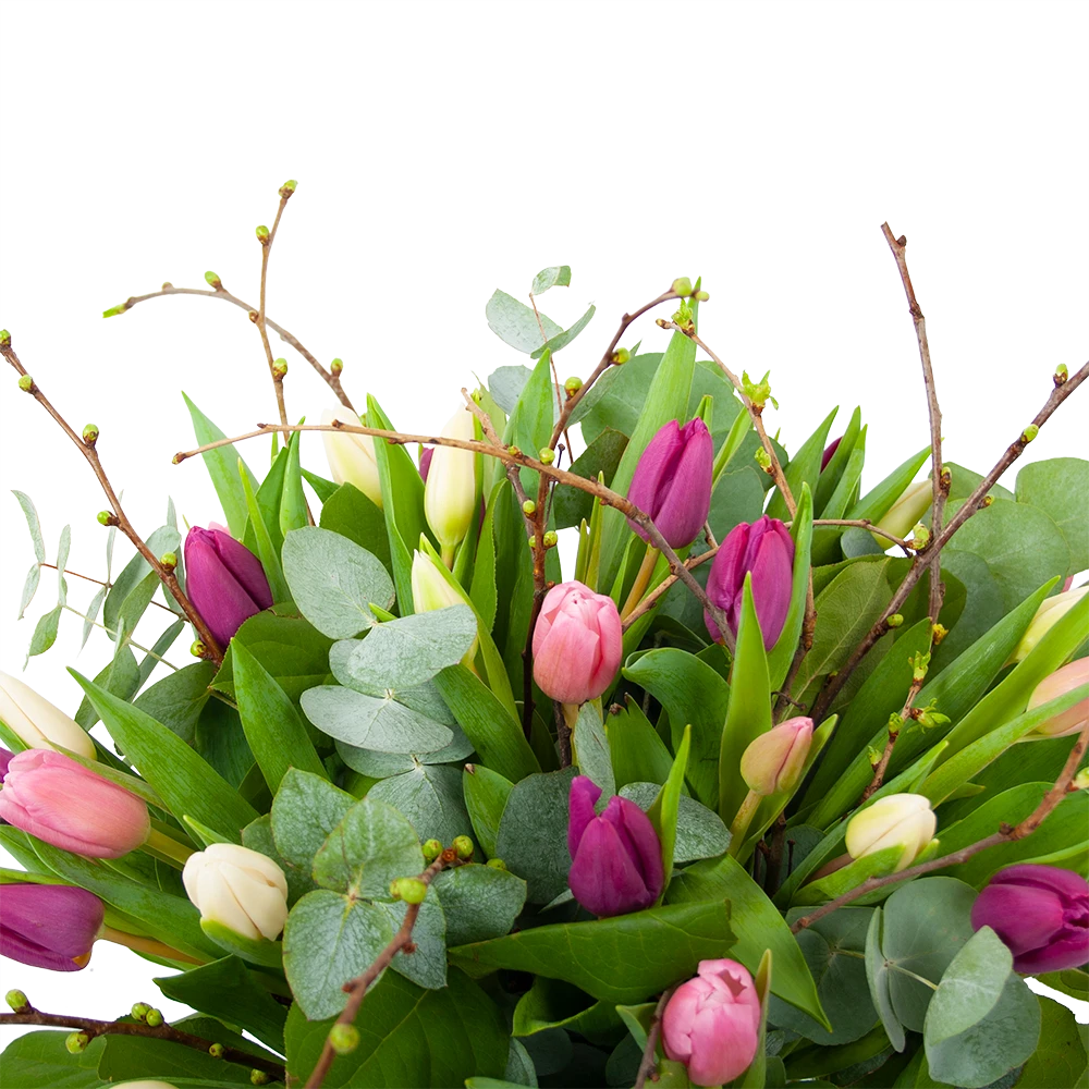 Boeket Kleurrijke Tulp Klein 2 Boeket Kleurrijke Tulp Klein - Afbeelding 2