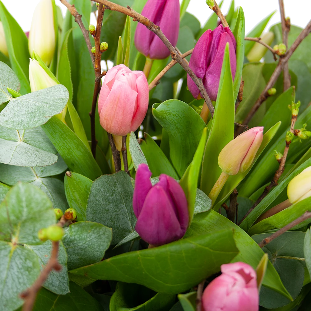 Boeket Kleurrijke Tulp Klein 3 Boeket Kleurrijke Tulp Klein - Afbeelding 3