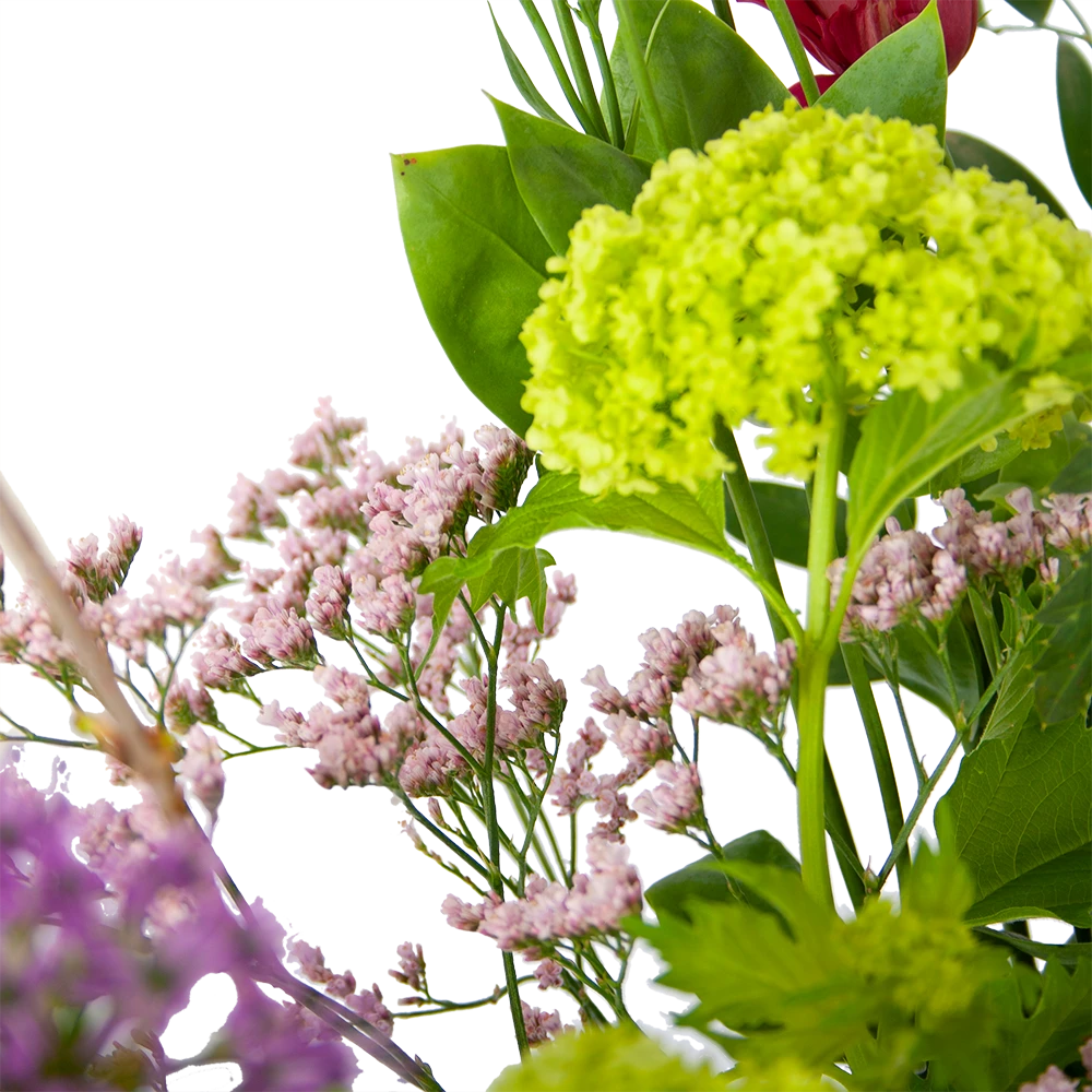 Boeket Kleurrijke Verrassing Klein 2 Boeket Kleurrijke Verrassing Klein - Afbeelding 2