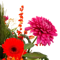 Boeket Liefdevolle Kerst Middel 8 Boeket Liefdevolle Kerst Middel -Groeniva Verkoopwinkel boeket liefdevolle kerst boeketten 3 1 2