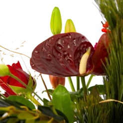 Boeket Liefdevolle Kerst Middel 9 Boeket Liefdevolle Kerst Middel -Groeniva Verkoopwinkel boeket liefdevolle kerst boeketten 4 1 2