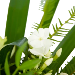 Boeket Liefdevolle Winter Middel -Groeniva Verkoopwinkel boeket liefdevolle winter boeketten 3 1