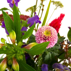 Boeket Paarse Passie Middel -Groeniva Verkoopwinkel boeket paarse passie middel boeketten 4