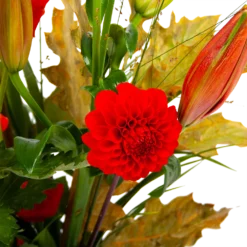 Boeket Pluim Van Het Najaar Klein -Groeniva Verkoopwinkel boeket pluim van het najaar klein boeketten 3