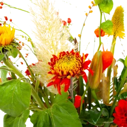 Boeket Pluim Van Het Najaar Klein -Groeniva Verkoopwinkel boeket pluim van het najaar klein boeketten 4