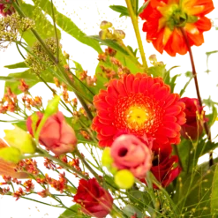 Boeket Plukgeluk Groot -Groeniva Verkoopwinkel boeket plukgeluk groot boeketten 3