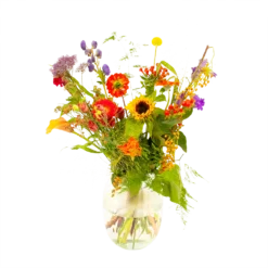 Boeket Plukgeluk Middel