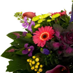 Boeket Purple Groot -Groeniva Verkoopwinkel boeket purple groot boeketten 3 1