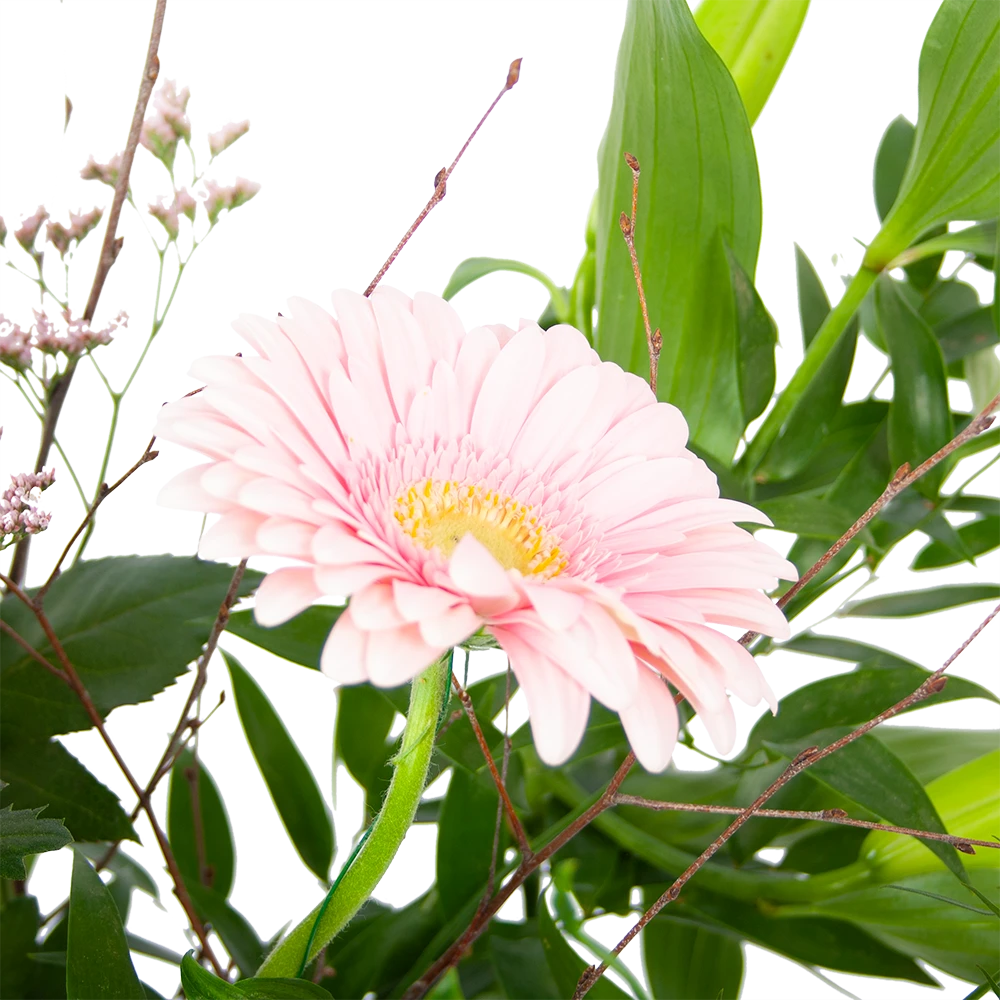 Boeket Roze Verrassing Groot 2 Boeket Roze Verrassing Groot - Afbeelding 2