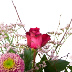 Boeket Roze Verrassing Groot 7 Boeket Roze Verrassing Groot -Groeniva Verkoopwinkel boeket roze verrassing boeketten 3 1