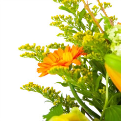 Boeket Seizoensgebonden Groot 7 Boeket Seizoensgebonden Groot -Groeniva Verkoopwinkel boeket seizoensgebonden boeketten 3 1