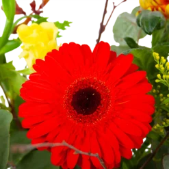 Boeket Speciale Verrassing Middel -Groeniva Verkoopwinkel boeket speciale verrassing boeketten 3