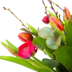 Boeket Vrolijk Roze Middel 7 Boeket Vrolijk Roze Middel -Groeniva Verkoopwinkel boeket vrolijk roze boeketten 3 2