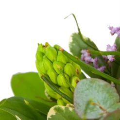 Boeket Vrolijk Seizoen Klein -Groeniva Verkoopwinkel boeket vrolijk seizoen boeketten 3 2