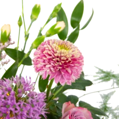 Boeket Vrolijke Verrassing Klein -Groeniva Verkoopwinkel boeket vrolijke verrassing boeketten 3