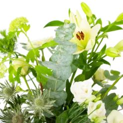 Boeket Wit Gebaar Groot -Groeniva Verkoopwinkel boeket wit gebaar boeketten 3