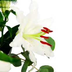 Boeket Witte Winter Klein -Groeniva Verkoopwinkel boeket witte winter boeketten 4