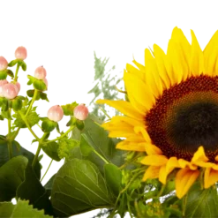 Boeket Zonnestraal Groot -Groeniva Verkoopwinkel boeket zonnestraal boeketten 4 3 2