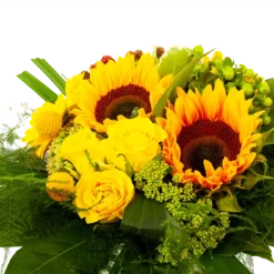 Boeket Zonnetje Groot -Groeniva Verkoopwinkel boeket zonnetje boeketten 3 1 1