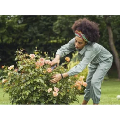 Comfort Snoeischaar - Gardena -Groeniva Verkoopwinkel comfort snoeischaar gardena 3 7