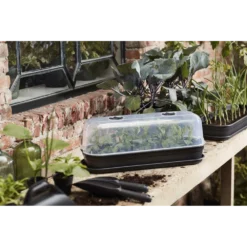 Elho Green Basics Kweekhuis L - Transparant -Groeniva Verkoopwinkel elho green basics kweekhuis l transparant 4