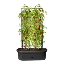 Elho Green Basics Veggie Wall 80cm - Living Black -Groeniva Verkoopwinkel elho green basics veggie wall 80cm living black 5