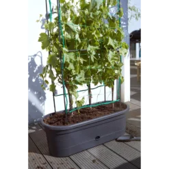 Elho Green Basics Veggie Wall 80cm - Living Black -Groeniva Verkoopwinkel elho green basics veggie wall 80cm living black 6