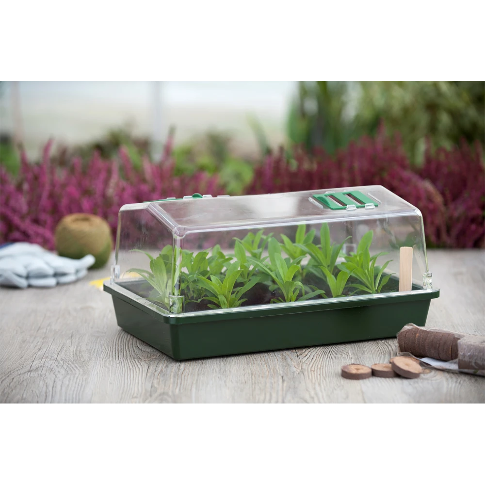 Kweekkas Groot Met Ventilatie - Groen - H21x55x31cm - Nature 2 Kweekkas Groot Met Ventilatie - Groen - H21x55x31cm - Nature - Afbeelding 2