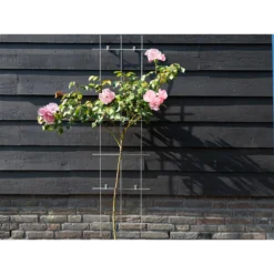 Nature - Metalen Klimrek Geplastificeerd Grijs H145x42,5cm -Groeniva Verkoopwinkel nature metalen klimrek geplastificeerd grijs h145x42 5cm 3 2