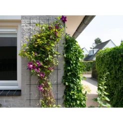 Nature - Metalen Klimrek Geplastificeerd Grijs H145x57cm -Groeniva Verkoopwinkel nature metalen klimrek geplastificeerd grijs h145x57cm 3 2