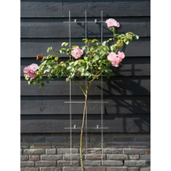 Groeniva Verkoopwinkel -Groeniva Verkoopwinkel nature metalen klimrek geplastificeerd groen h145x42 5cm 2 2