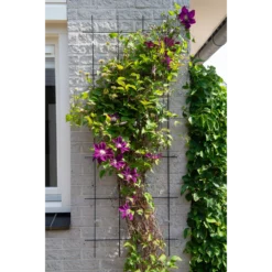 Groeniva Verkoopwinkel -Groeniva Verkoopwinkel nature metalen klimrek geplastificeerd groen h145x57cm 2 2