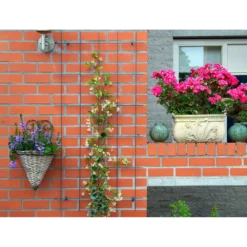 Nature - Metalen Klimrek Geplastificeerd Groen H145x72,5cm -Groeniva Verkoopwinkel nature metalen klimrek geplastificeerd groen h145x72 5cm 3 2