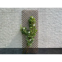 Nature - Wilgenklimrek 60x180cm -Groeniva Verkoopwinkel nature wilgenklimrek 60x180cm 3 2